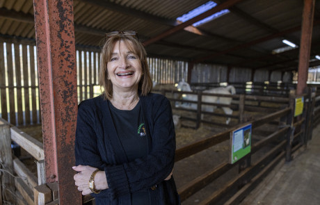 Gill Slinger, Windmill Animal Farm